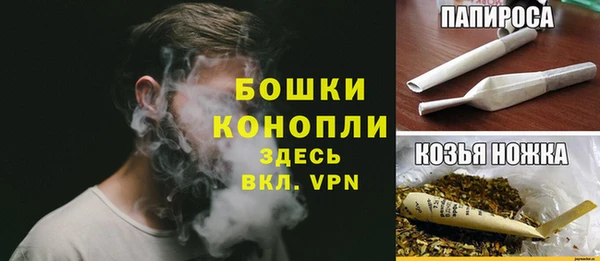 стаф Каменногорск