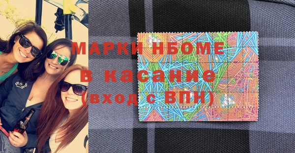 стаф Каменногорск