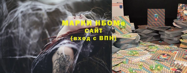 стаф Каменногорск