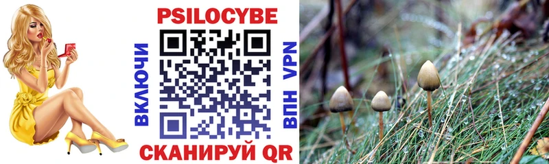 Галлюциногенные грибы GOLDEN TEACHER  Кодинск 