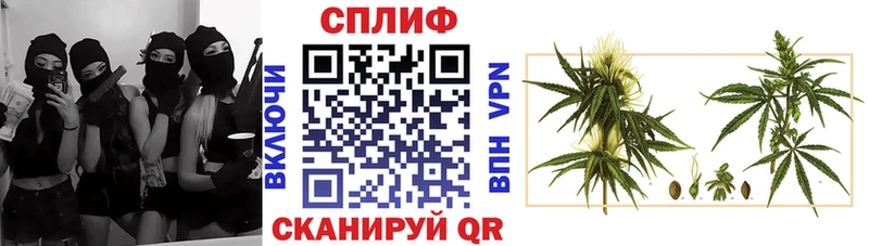 Марихуана ГИДРОПОН  где купить наркотик  MEGA зеркало  Кодинск 